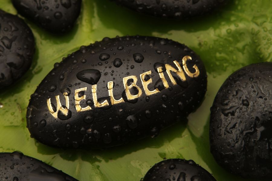 Employee Well-being and the Bottom Line