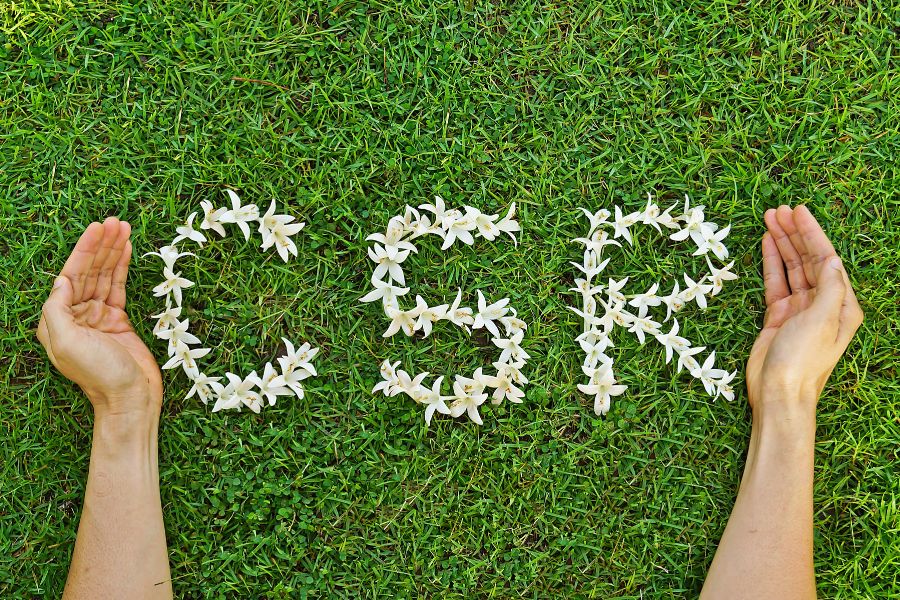 ESG CSR